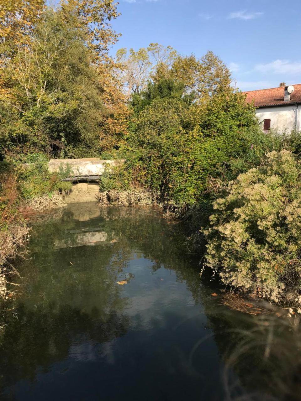 Camping Le Ruisseau Saint-André-de-Seignaux Exterior foto